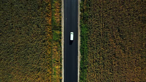 Driving on country road between green fields, top view