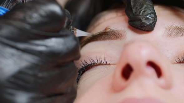 The Microblading Master Is Filling Up the Shape of an Eyebrow with a Color.