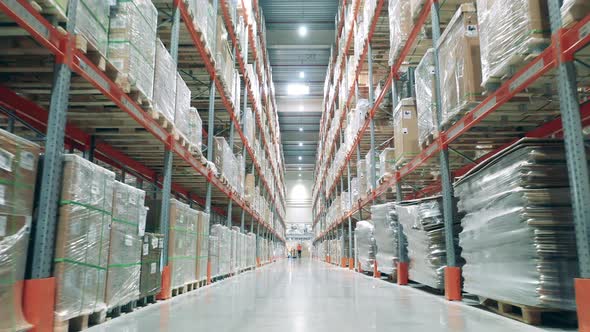 Warehouse Premises with Racks and Boxes on Them