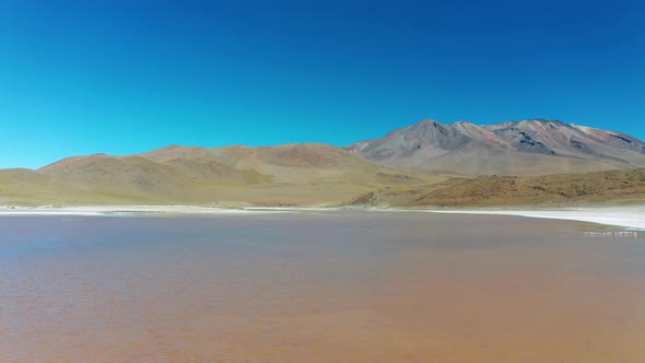 Aerial View of Pink Lake with Flamingo Bolivia Altiplano