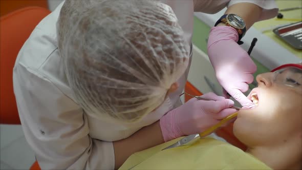 Professional Woman Doctor Dentist at Work, Treating Teeth To Woman Patient in Clinic. Female