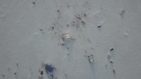 Wonderful Capturing Video of Drone From the Top of Yurts in the Middle of Tundra in Arctic