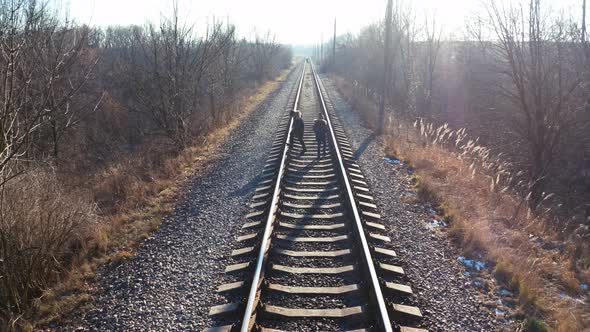 Rear view of people walking on rails. People walking along the rails in the middle of the forest