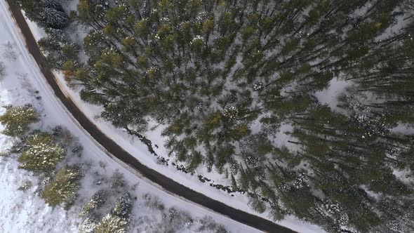 Aerial view of road winding through forest from top down view