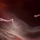 Male Sperm Cells  - VideoHive Item for Sale
