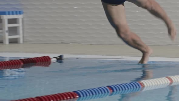 Young Sportsman Swimmer Dives in the Water of a Training Pool