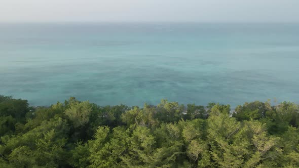 Green Jungle By The Blue Ocean