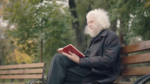 Side View of Concentrated Senior Man Sitting on Bench in Autumn Park Reading Book