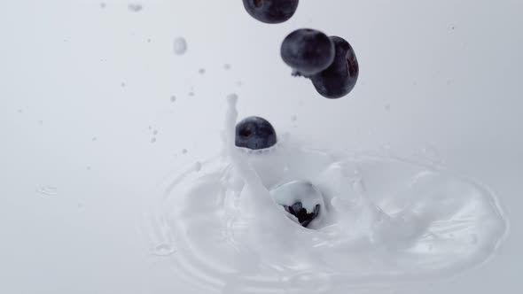Blueberries falling into milk. Slow Motion.