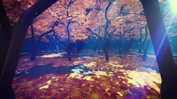 Autumn Forest 4k