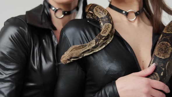 Two Sexy Women in Black Latex Standing in a White Studio with Snake on the Neck