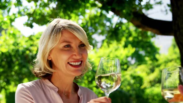 Friends toasting glasses of wine at restaurant