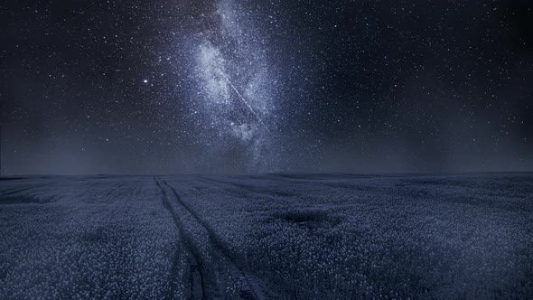 Milky way over wheat field. Night sky in summer, timelapse