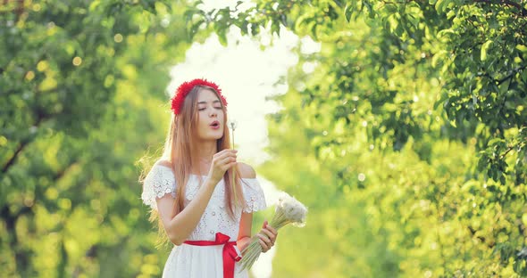 Beautiful Young Woman Walks Through the Meadow and Blows on White Dandelions Flies a Flower