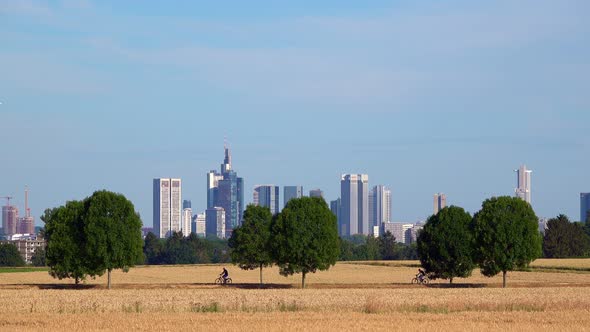 Riding Bike In Field And Frankfurt Business Towers