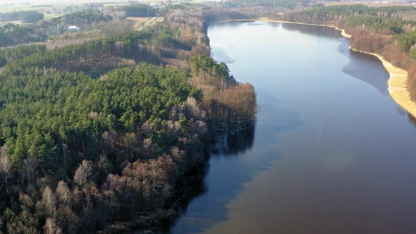 Forest lake in sunny day, view from drone