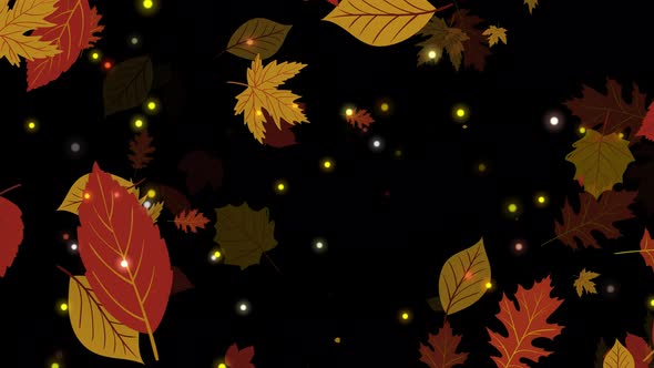 Leaf Falling Overlays alt