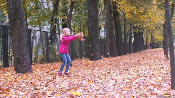 Little Girl Playing with Autumn Fallen Leaves in Park