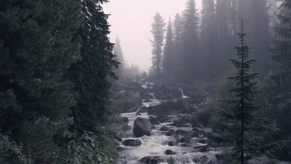 Fast Stony Mountain River