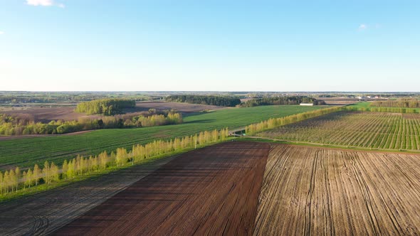 Aerial Flying Over Hilly Rural Fields With Growing Agricultural Crops At Spring