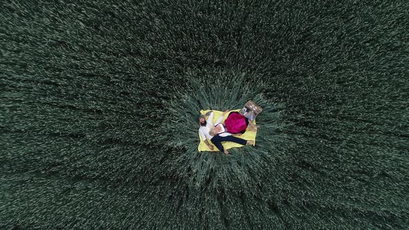 Tired couple sleeping on blanket in cereal field after picnic