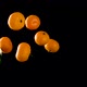 Orange Mandarin Flies Up And Down - VideoHive Item for Sale