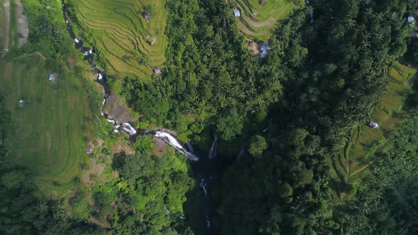 Aerial view of green rice fields with waterfall in Bali, Indonesia