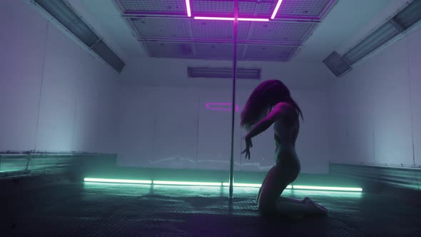 Sensual Poledance