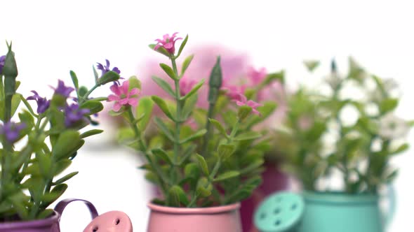 Pink, purple, and wihte artificial flowers with flowerpot rotate slowly on white background.	