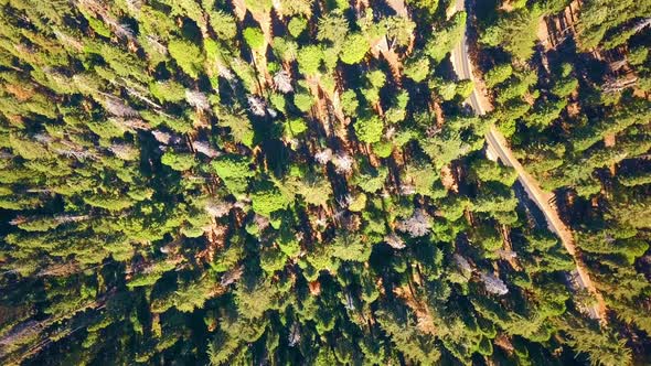 Aerial View of the Sequoia National Park