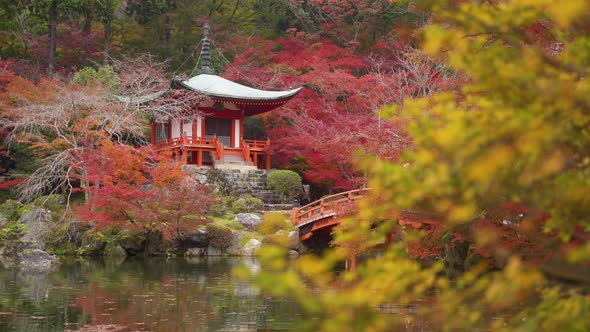 Daigo-ji temple with colorful maple trees in autumn, Kyoto, Japan