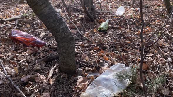 Forest Polluted with Garbage Plastic Bottles