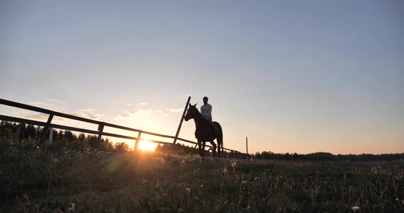 Silhouette of a Rider Gallops Across the Farm at Sunset