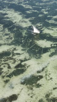 Vertical Video Boats in the Ocean Near the Coast of Zanzibar Tanzania