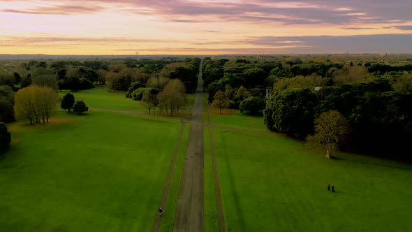 Aeriala view over irish park in autumn