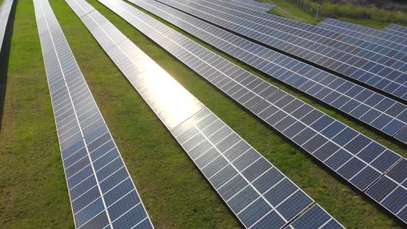 Solar Panels in Rows on the Field