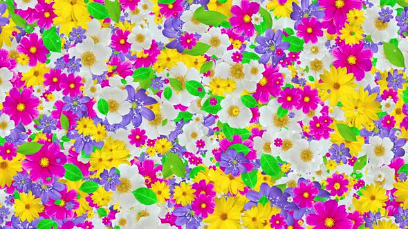Colorful Flowers Background 4K