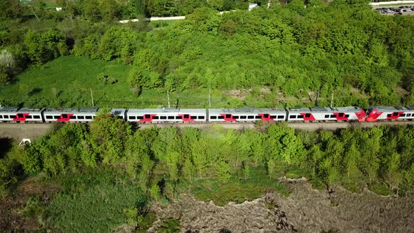 A Passenger Train Rides Along the Forest on a Sunny Day