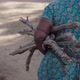 Indian Village Woman Carries Fire Wood - VideoHive Item for Sale
