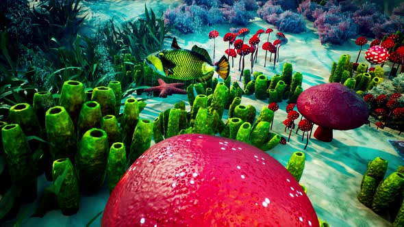 Underwater  Blue World 2 alt