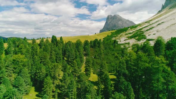 Idyllic lush green alpine forest trees aerial flyover view South Tyrol Plose Peitlerkofel bottom of