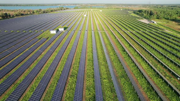 Aerial View of Solar Farm on the Green Field at Sunset Time Solar Panels in Row