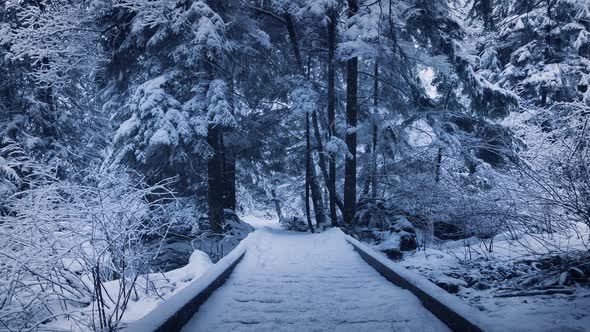 Wooden Footpath Through Park Buried In Snow