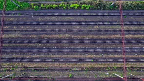 Railroad Tracks in the Backcountry with Grass and Trees