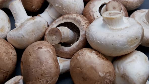 Freshly Picked White Brown Mushrooms on a Dark Background Rotate.