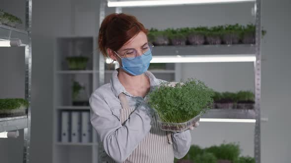 Organic Business Female Farmer in Medical Mask and Gloves with Ripe Micro Green in Container Smiling