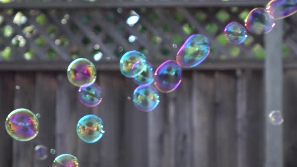 Bubbles