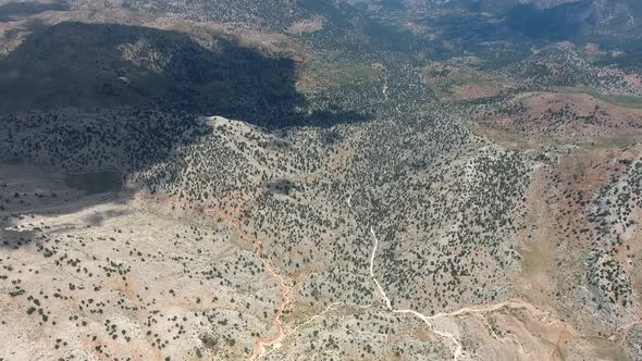 Standard Mix Forested Mountain Topography