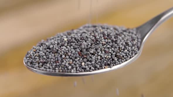 Full dessert spoon of dry poppy seeds on wooden background. Falling gray whole grains in slow motion