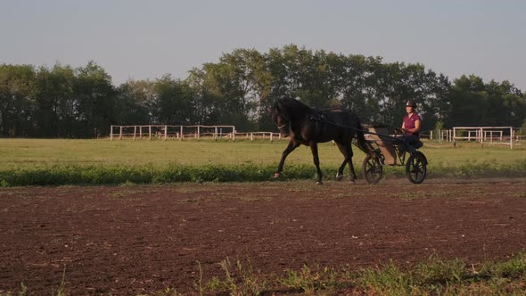 Harness Racing Training Jockey Is Sitting Inside Twowheeled Cart Sulky